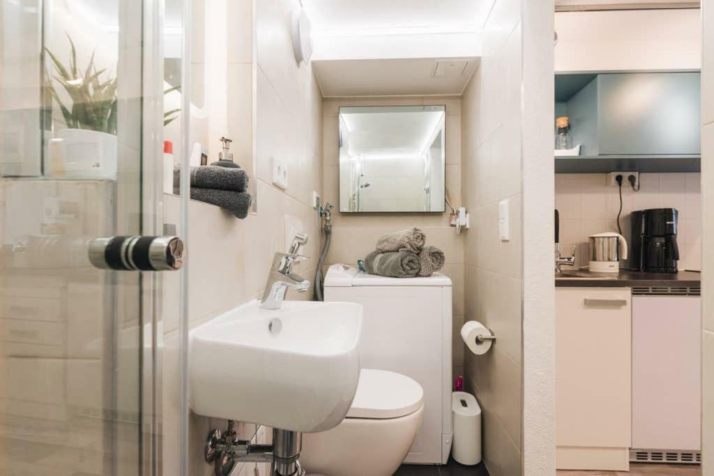 Apartment Souterrain Solln 20min Oktoberfest/zentrum Munich